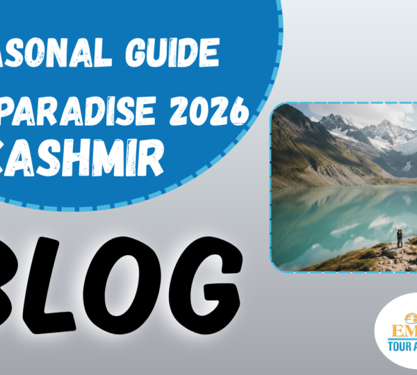 kashmir tour guide