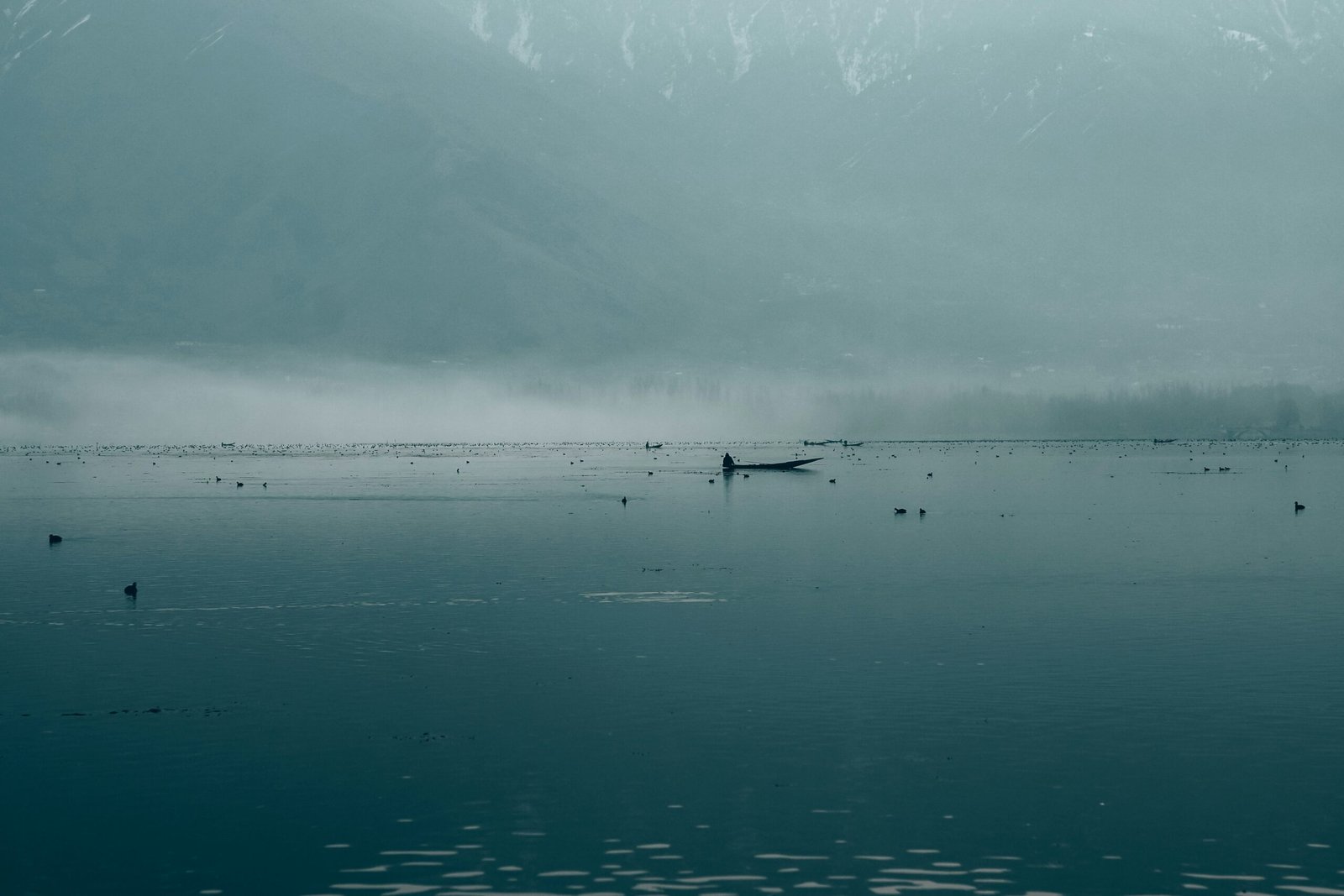 Best time to visit Vaishno Devi — pilgrims trekking the Katra to Bhawan route through pine forest