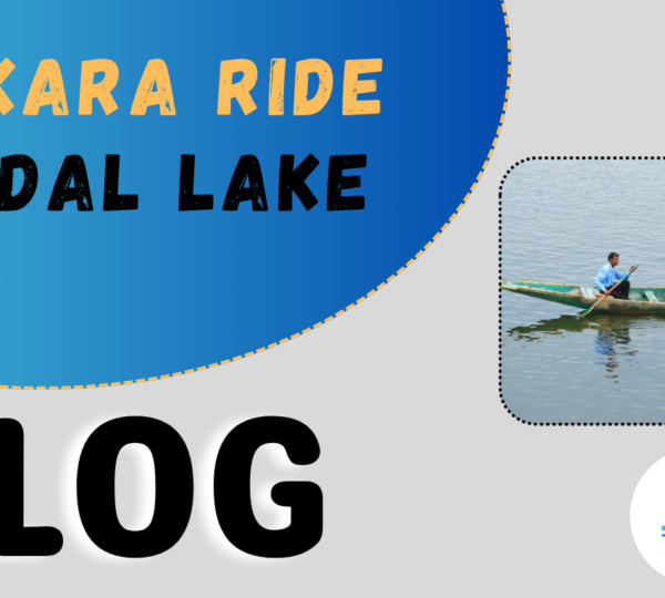 Shikara Ride on Dal Lake.