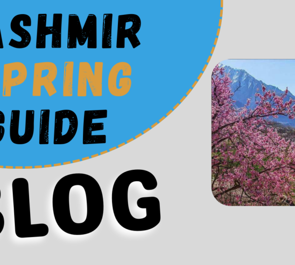 kashmir spring guide