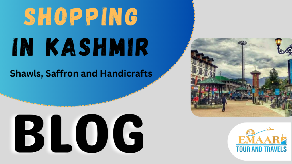 shopping in kashmir