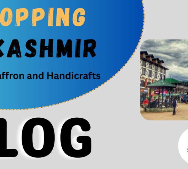 shopping in kashmir